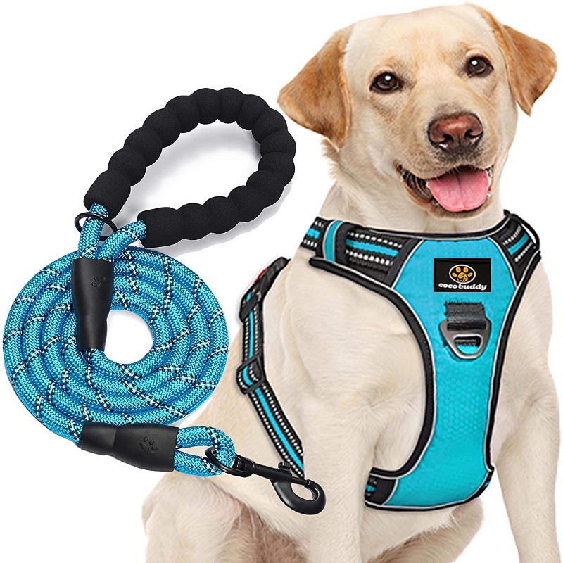 Gilet per cani personalizzato innylon riflettente grande fibbia per cani reversibile con guinzaglio